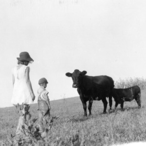 Children, cow and calf