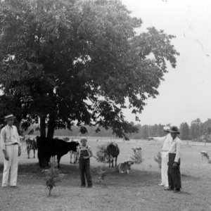 Group with cattle on farm of W. E. Bright