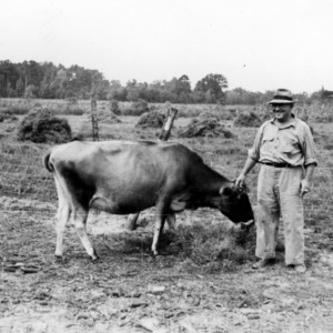 Tenant with cow on farm