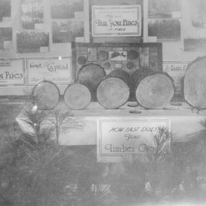 Forestry exhibit at Greenville Fair