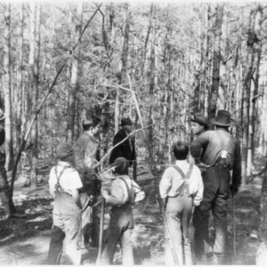 Group of farmers at forest thinning demonstration