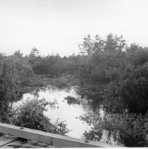White Oak River in Hofmann Forest