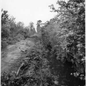 Ditch made with dynamite in Hofmann Forest