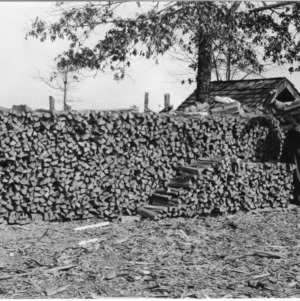 Fuelwood cut and piled