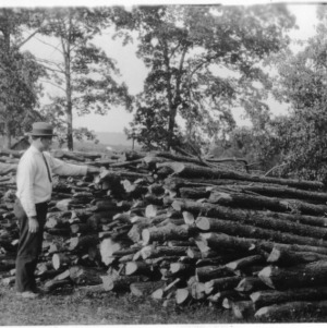 Stacks of fuelwood after thinning demonstration
