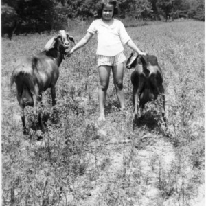 Girl with two milk goats