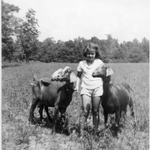 Girl with three milk goats