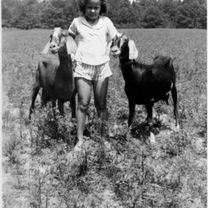 Girl with two milk goats