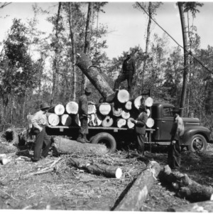 Men loading veneer wood logs onto a truck
