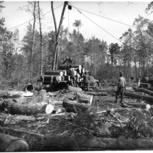 Men loading veneer wood logs onto a truck