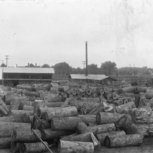 Log yard containing poplar, oak and gum logs, Dameron Veneer Co., Liberty, N.C.