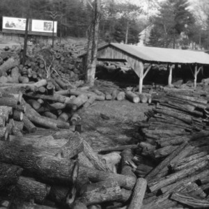 Log yard at plant of Hickory Fiber Company