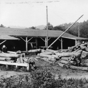 Log yard at plant of Carolina Wood Turning Company