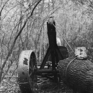 Tractor hauling logs in Martin County swamplands