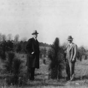 R. L. Stowe and L. B. Altman with longleaf pine plantings