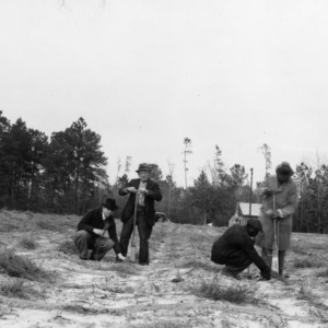 Planting longleaf pines at farm of W. A. Jordon