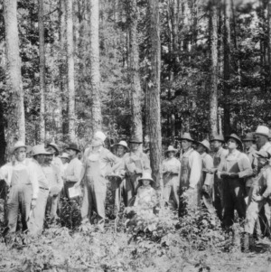 County Agent O. H. Phillips and Stanly County farmers examining timber on farm of T. R. Turner