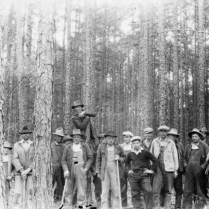 Pine thinning demonstration on farm of A. B. Jones