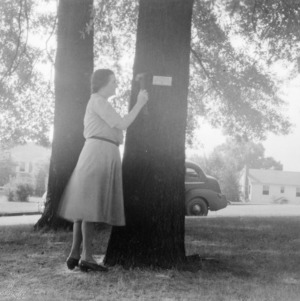 Mrs. Charles B. Wagoner placing name plate on tree at Concord High School