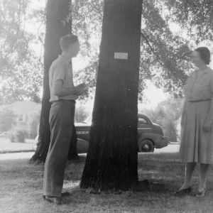 Rev. L. C. Bumgarner and Mrs. Charles B. Wagoner inspecting trees with name plates at Concord High School