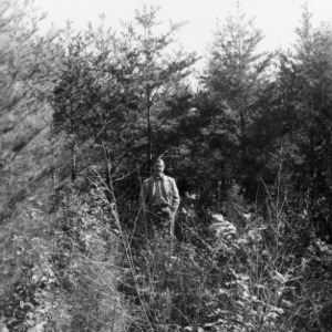 Man in intermediate cutting of scrub pine