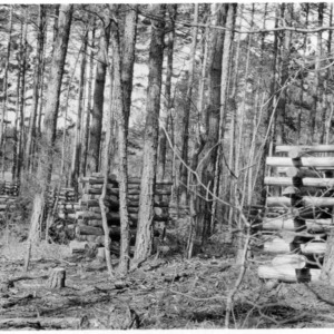 Stacks of pulpwood collected from timber thinning operation