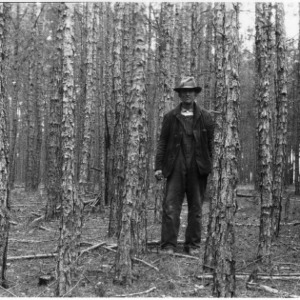 Man standing in shortleaf pine stand