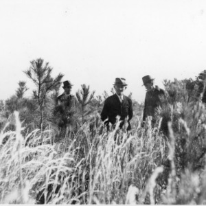 Foresters and farmer inspecting loblolly pines