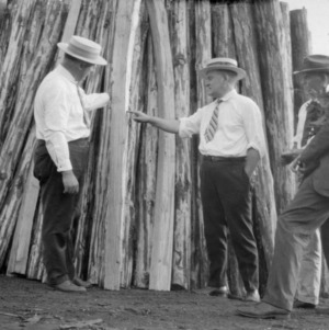 Men inspecting stacked pine wood at Halifax Paper Corporation