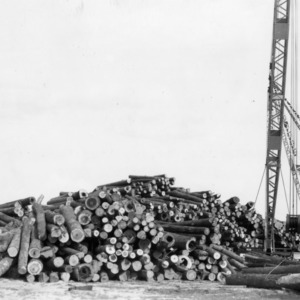 Swamp hardwoods in log yard of Greene Brothers Lumber Company