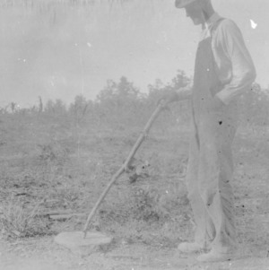 J. E. Young examining tree stump in field