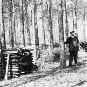 R. L. Sloan in pine forest after thinning