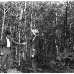 J. H. Frye and other in pine woodlot