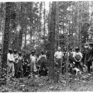 Farmers at timber thinning demonstration