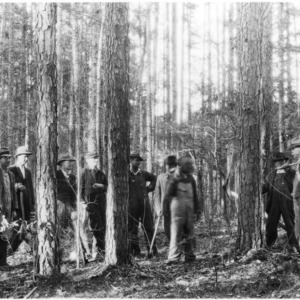 Farmers at timber thinning demonstration