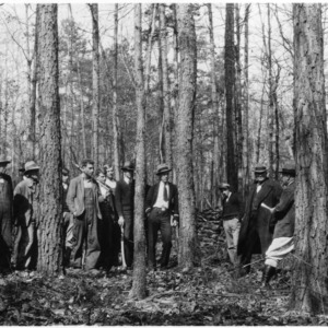 Farmers at forest thinning demonstration