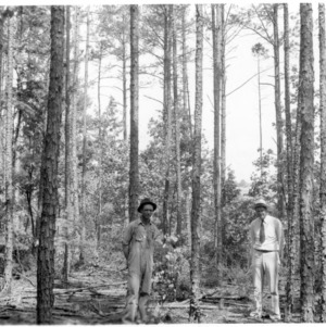 Rex Laney and Agent Rankin at timber thinning demonstration in shortleaf pine