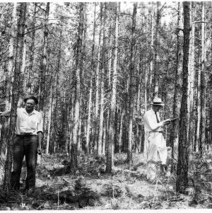 R. C. Nesbitt and Agent Rankin scaling trees