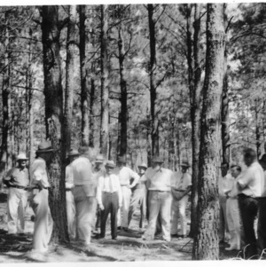 Farmers inspecting timber thinning demonstration