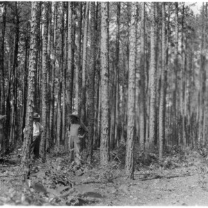 W. A. Beck, Agent George Evans, and others discussing importance of thinning pines