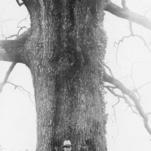 Man in front of white oak