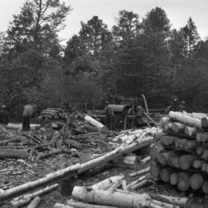 Men working at lumbering operation in the George Watts Hill Demonstration Forest