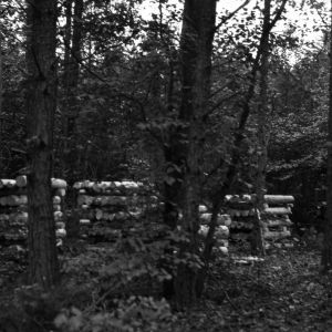 Stacks of lumber in George Watts Hill Demonstration Forest