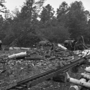 Men working at lumbering operation in the George Watts Hill Demonstration Forest