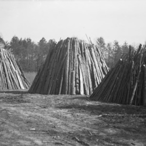 Timber piles