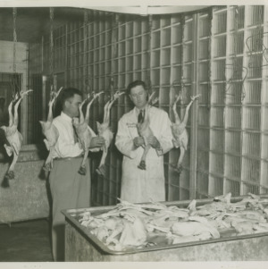 Judges looking over a 1946 entry in the North Carolina "Chicken of Tomorrow" contest