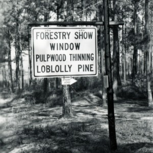 Sign directing to information on Forestry Show Window Pulpood Thinning Loblolly Pine