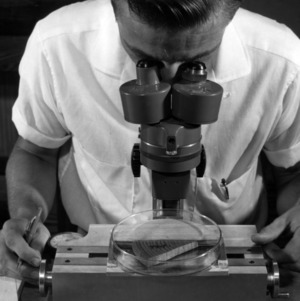 Man at microscope for Forestry Research