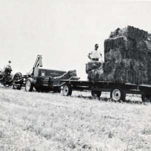 Tractor pulling bales of hay