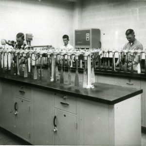 People in Forestry Laboratory